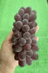 信州産🍇ハウス　デラ・ウエア