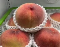 山梨春日居産🍑桃